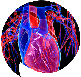 realheart